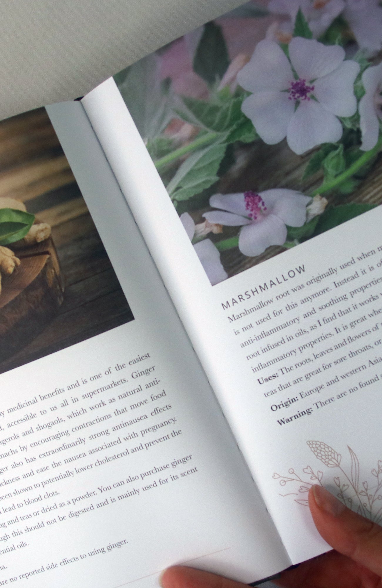 From Earth: A guide to creating a natural apothecary